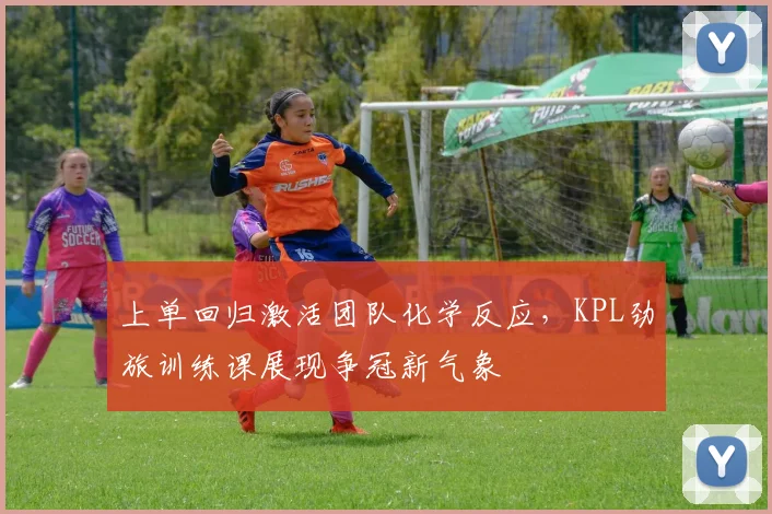 上单回归激活团队化学反应，KPL劲旅训练课展现争冠新气象