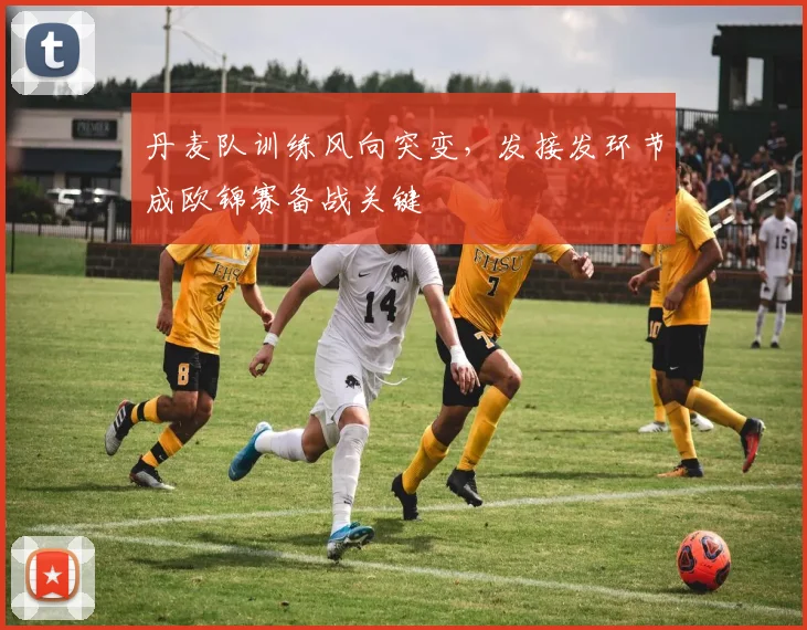 丹麦队训练风向突变，发接发环节成欧锦赛备战关键