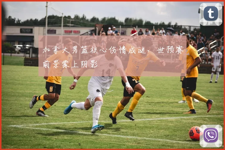 加拿大男篮核心伤情成谜,世预赛前景蒙上阴影