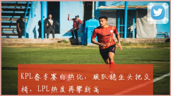 KPL春季赛白热化,狼队稳坐头把交椅,LPL热度再攀新高